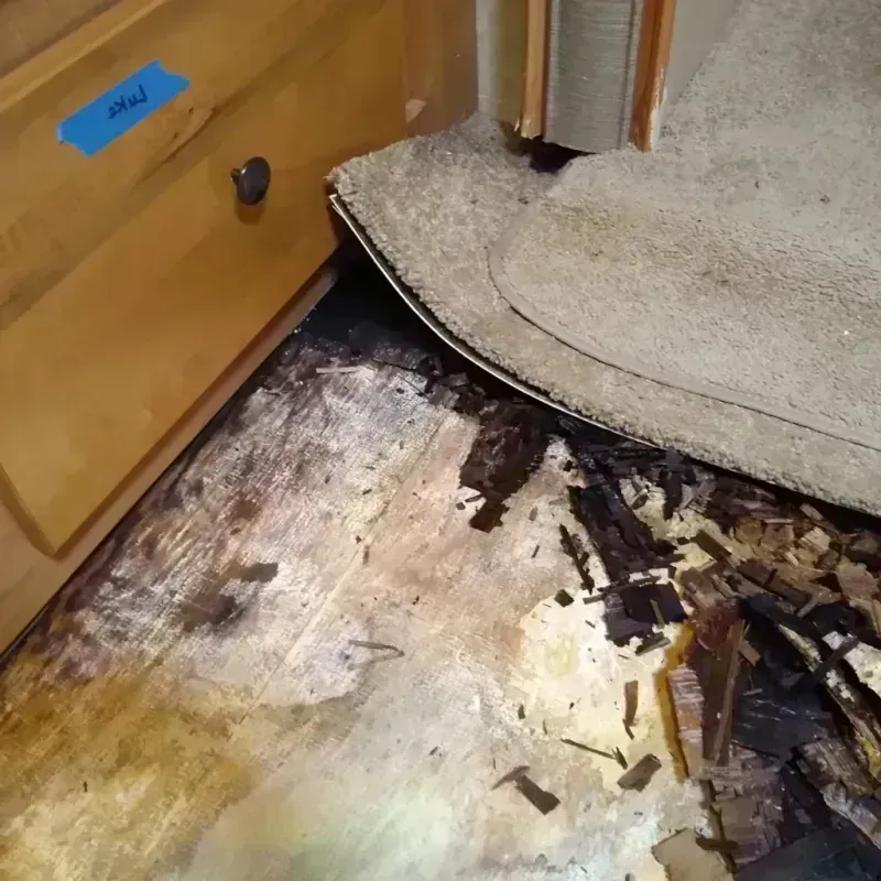 Wood Floor Water Damage in Maywood, CA